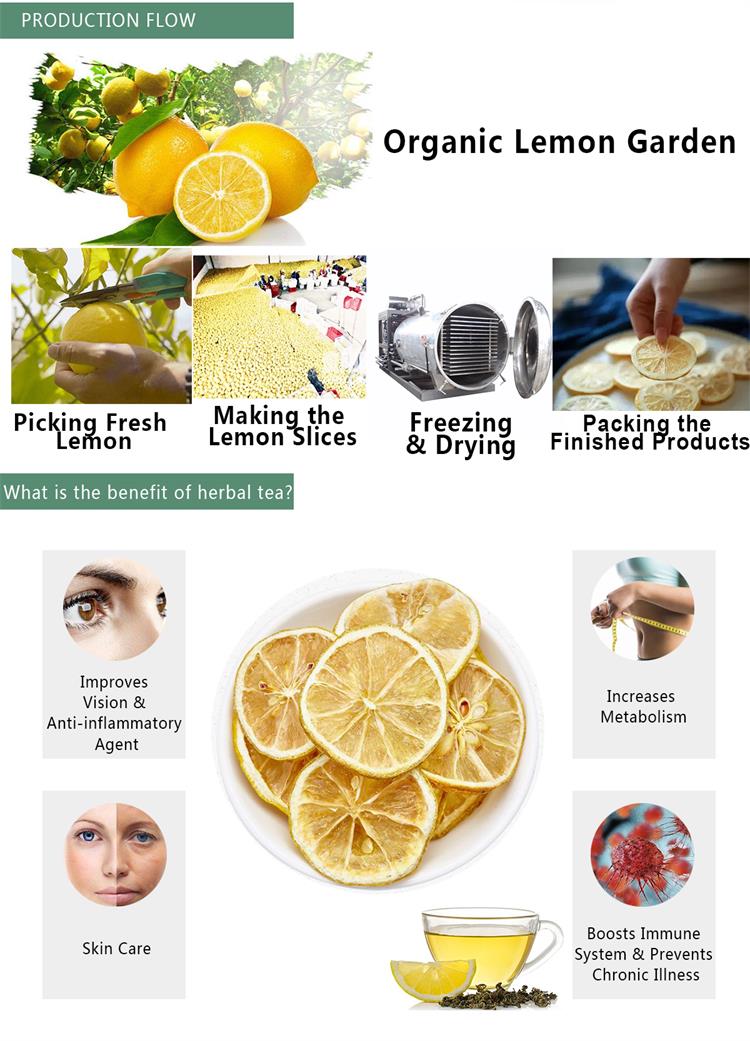 Organic Dried Lemon Slices